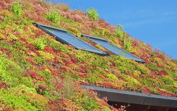 Colebrooke living roof systems